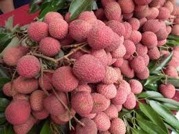 ลิ้นจี่