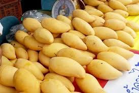 มะม่วง
